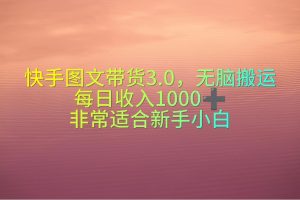 （10252期）快手图文带货3.0，无脑搬运，每日收入1000＋，非常适合新手小白