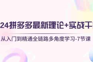（10816期）2024拼多多 最新理论+实战干货，从入门到精通全链路多角度学习-7节课