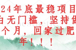 （12970期）2024年底最稳项目，小白无门槛，坚持做三个月，回家过肥年！！！