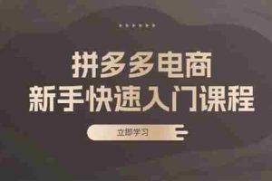 （13289期）拼多多电商新手快速入门课程：涵盖基础、实战与选款，助力小白轻松上手