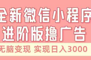 （13197期）全新微信小程序进阶版撸广告 无脑变现睡后也有收入 日入3000＋