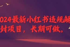 2024最新小红书违规解封项目，长期可做，一个可以做到退休的项目【揭秘】