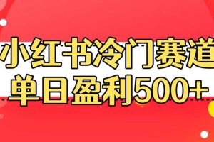 小红书冷门赛道,单日盈利500+【揭秘】