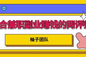 适合兼职副业赚钱的网评师，简单操作月入8000+【视频课程】