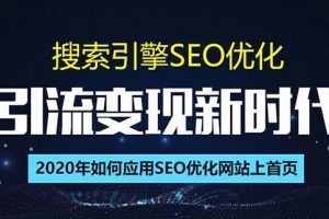 SEO搜索引擎优化总监实战VIP课堂【透析2020最新案例】快速实现年新30w(第9期)