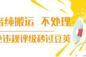 【新技术】抖音纯搬运 不处理 小技巧，30秒发一个作品，避免违规评级秒过豆荚(无水印)
