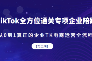 TikTok全方位通关专项企业陪跑【第三期】,从0到1真正的企业TK电商运营全流程