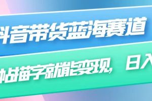 抖音带货蓝海赛道,无需真人出镜,字帖描字就能变现,日入上千(附带全套教程)