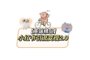 小红书最新引流变现2.0教程,全网最新最详细的视频教程+素材