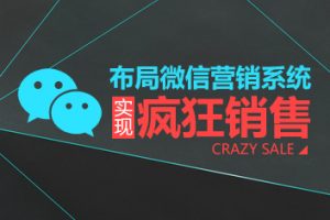 英盛网价值38.8元收费课程《布局微信营销系统，实现疯狂销售》共6集（王立刚）