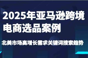 2025年亚马逊跨境电商选品案例-北美市场高增长需求关键词搜索趋势（更新)