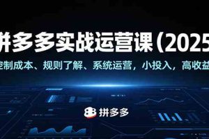 拼多多实战运营课（2025），控制成本、规则了解、系统运营，小投入，高收益！