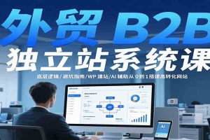 外贸B2B独立站系统课：底层逻辑/避坑指南/WP建站/AI辅助从0到1搭建高转化网站