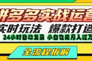 拼多多最新实战运营高投产：长久稳定项目，单店利润一天三位数