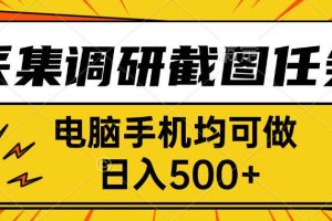（15868期）采集，调研，截图任务，电脑手机均可做，日入500+