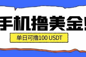 最新手机撸美金项目,单日产值100U+,2026年最新的风口项目