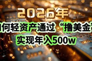(17033期)2026年如何轻资产通过“撸美金”实现年入500w