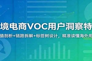 跨境电商VOC用户洞察特训：价值剖析+链路拆解+标签树设计，精准读懂海外用户