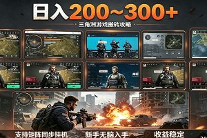 日入200~300+ 三角洲全自动搬砖项目,新手零门槛即可无脑入手