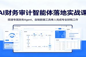 AI财务审计智能体落地实战课:搭建专属财务Agent,自制数据工具单人完成专业财税工作