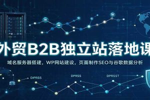 外贸B2B独立站落地课:域名服务器搭建,WP网站建设,页面制作SEO与谷歌数据分析