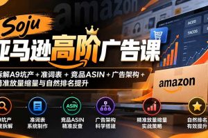 (20831期)Soju亚马逊高阶广告课:拆解A9坑产+准词表+竞品ASIN+广告架构+精准放量缩量与自然排名提升