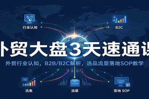 外贸大盘3天速通课:外贸行业认知,B2B/B2C解析,选品流量落地SOP教学
